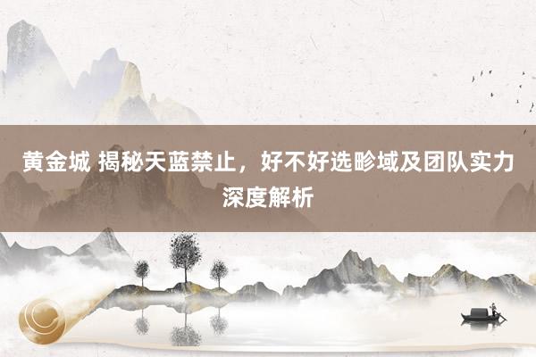黄金城 揭秘天蓝禁止，好不好选畛域及团队实力深度解析