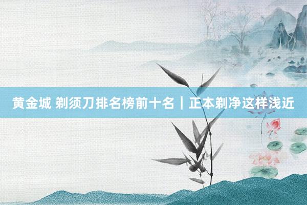 黄金城 剃须刀排名榜前十名｜正本剃净这样浅近