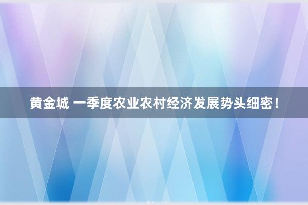 黄金城 一季度农业农村经济发展势头细密！