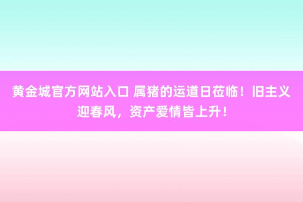 黄金城官方网站入口 属猪的运道日莅临！旧主义迎春风，资产爱情皆上升！