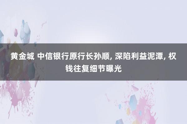 黄金城 中信银行原行长孙顺， 深陷利益泥潭， 权钱往复细节曝光