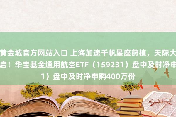 黄金城官方网站入口 上海加速千帆星座莳植，天际大帆海期间开启！华宝基金通用航空ETF（159231）盘中及时净申购400万份