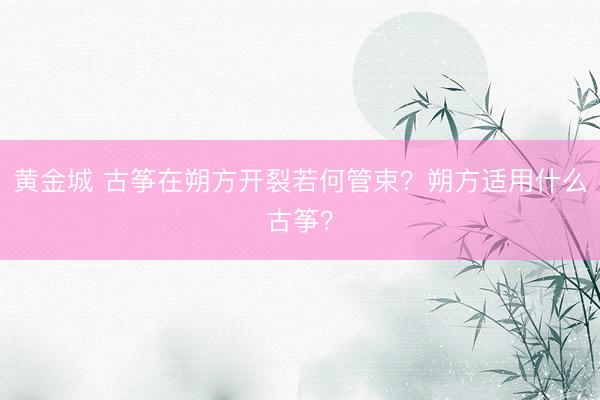 黄金城 古筝在朔方开裂若何管束？朔方适用什么古筝？